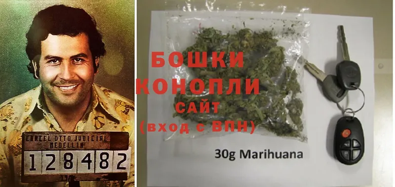 Бошки Шишки White Widow  купить  сайты  Барыш 